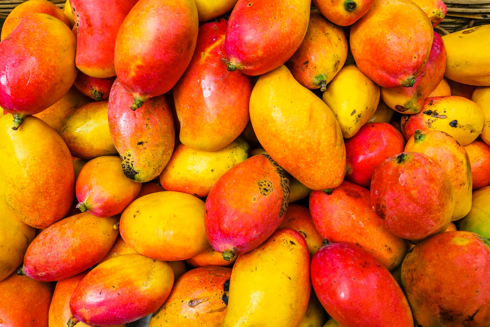 Processed Products